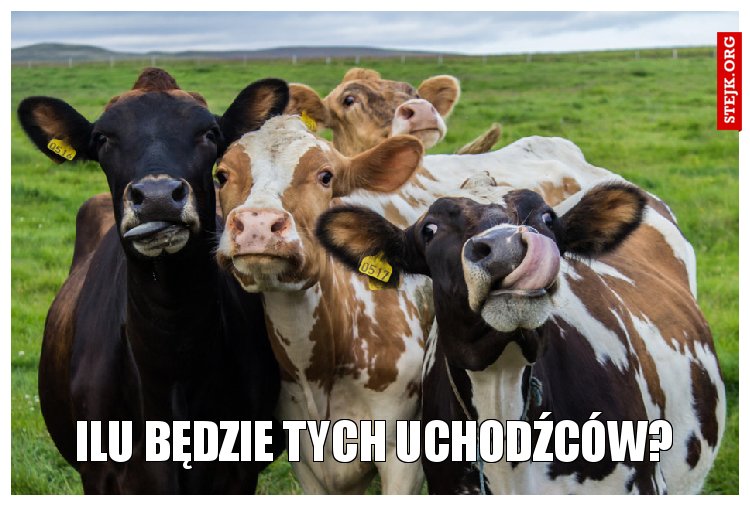 ILU BĘDZIE TYCH UCHODŹCÓW?