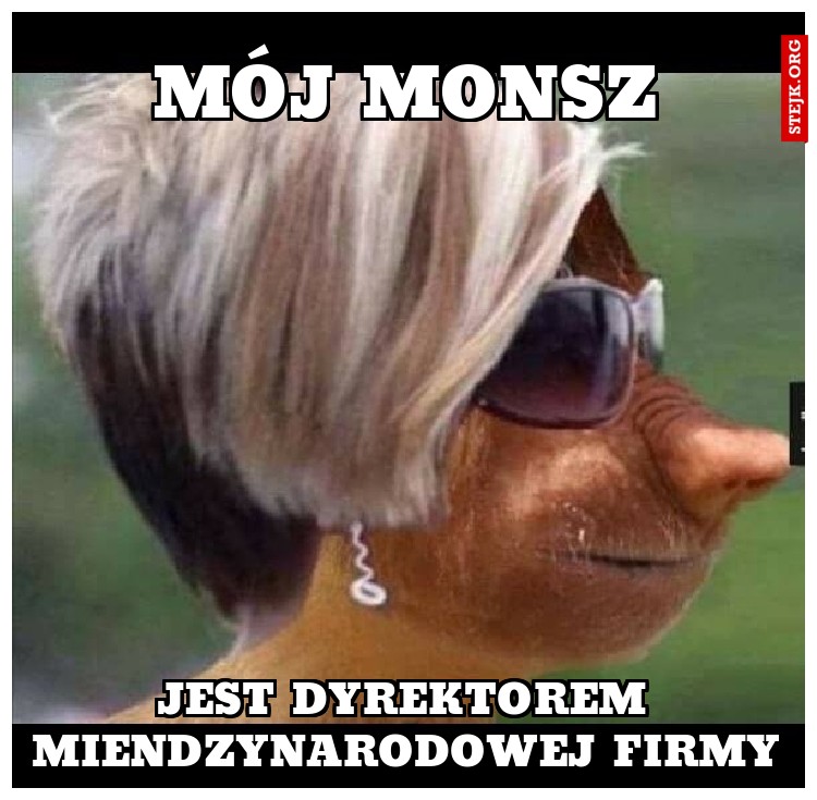 MÓJ MONSZ