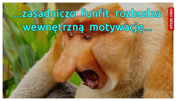 ...zasadniczo  funfit  rozbudza wewnętrzną  motywację...