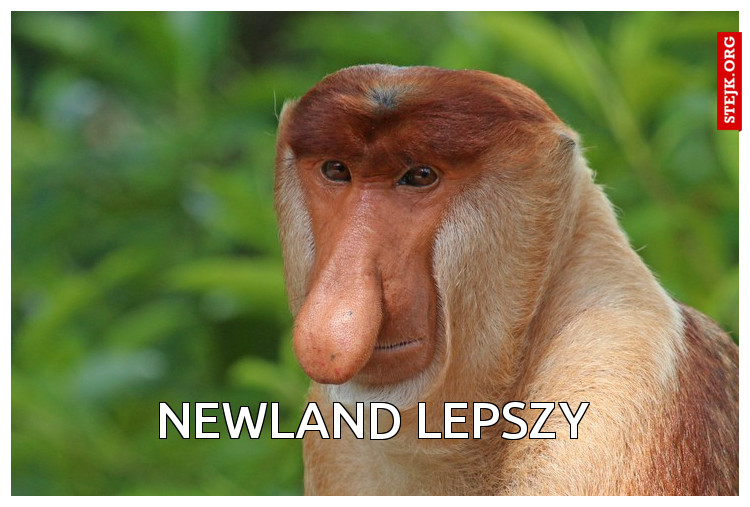NEWLAND LEPSZY