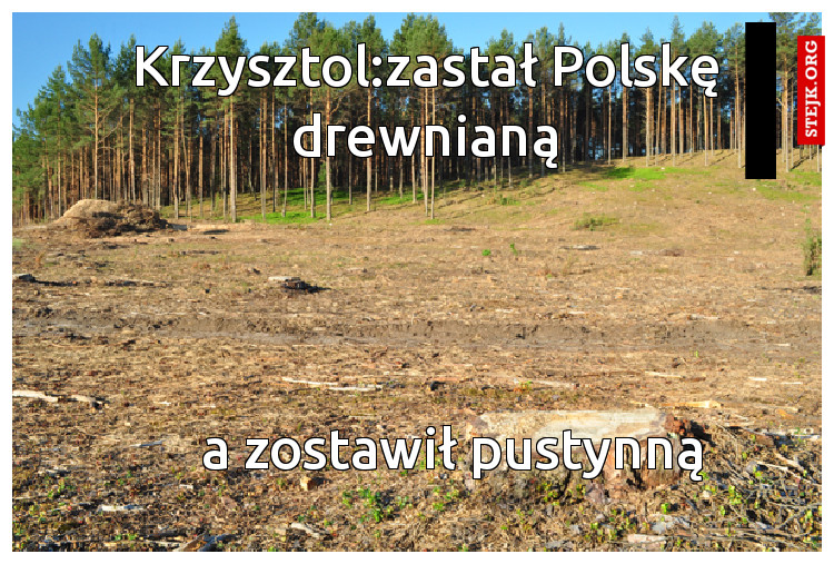 Krzysztol:zastał Polskę drewnianą