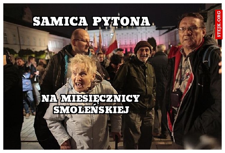 samica pytona