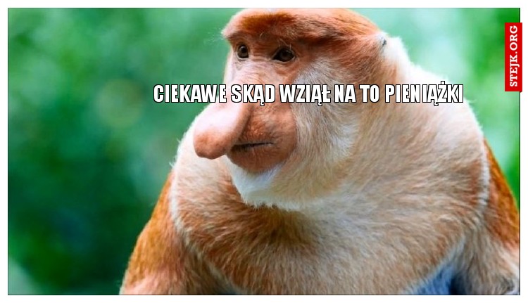CIEKAWE SKĄD WZIĄŁ NA TO PIENIĄŻKI