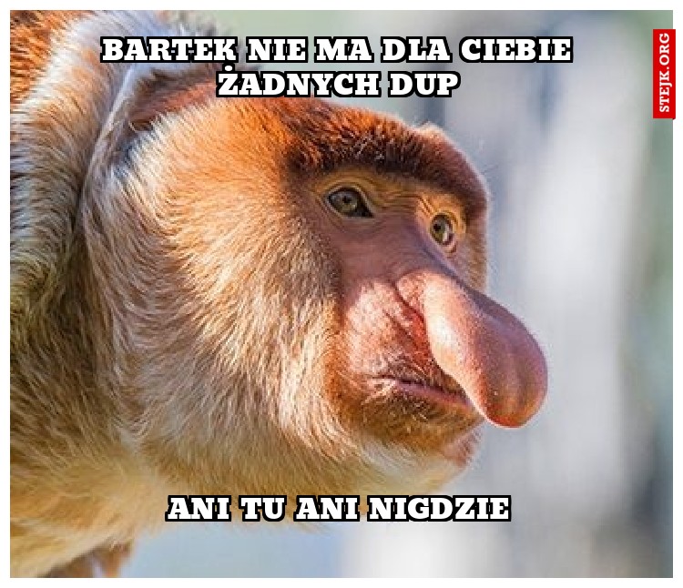 Bartek nie ma dla ciebie żadnych dup