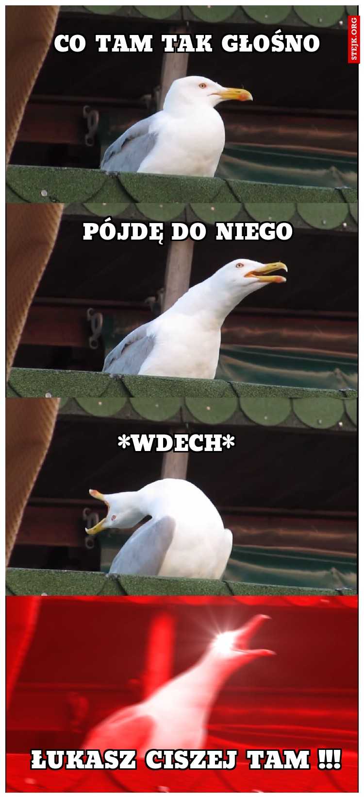 CO TAM TAK GŁOŚNO