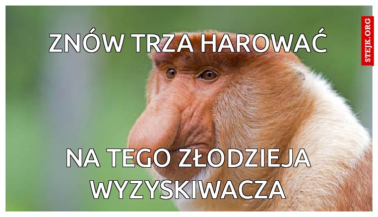 ZNÓW TRZA HAROWAĆ