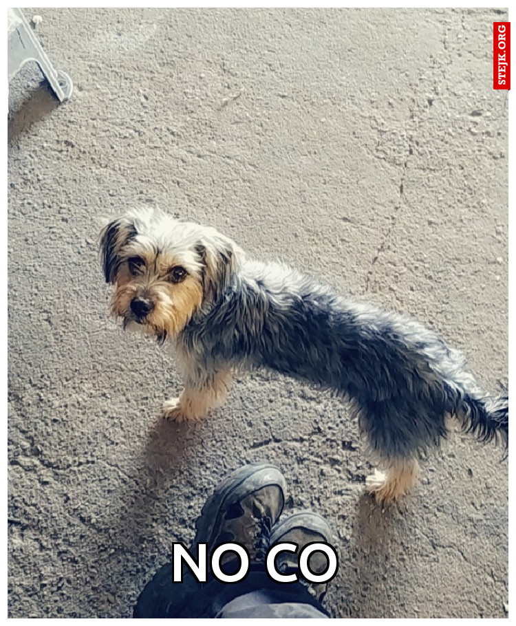 No co