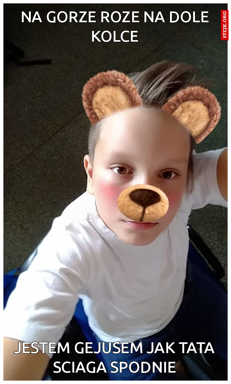 Na gorze roze na dole kolce