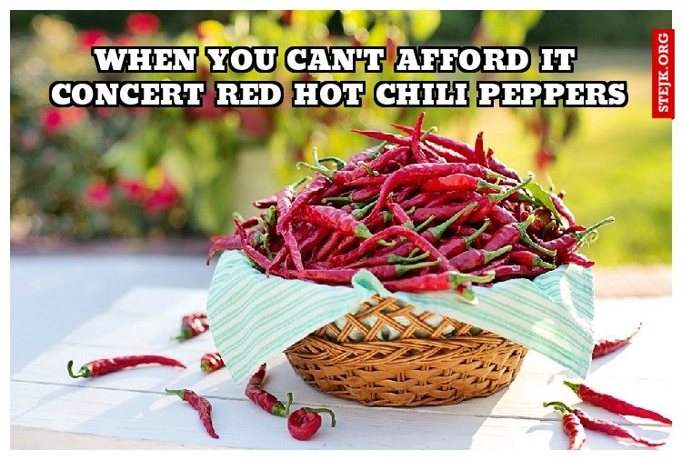 when you can't AFFORD IT CONCERT RED HOT CHILI PEPPERS