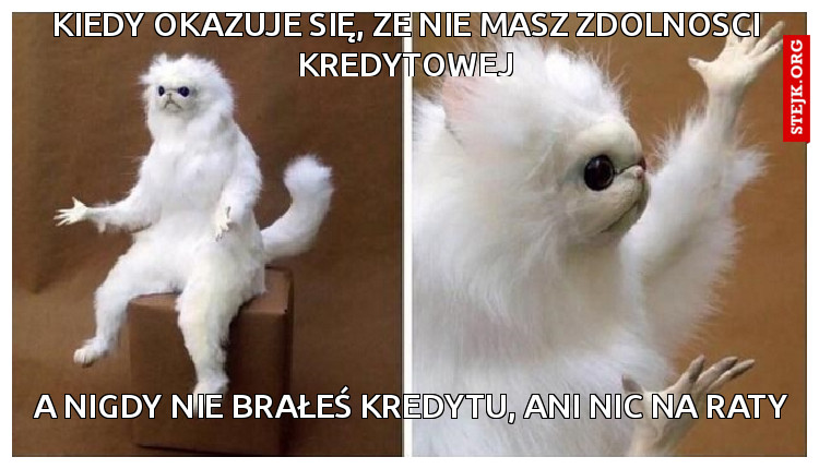 KIEDY OKAZUJE SIĘ, ŻE NIE MASZ ZDOLNOŚCI KREDYTOWEJ