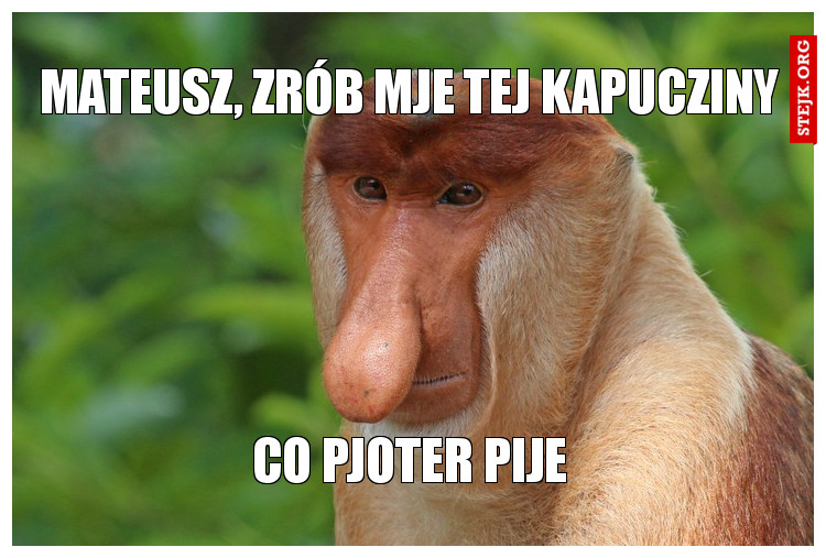 Mateusz, zrób mje tej kapucziny