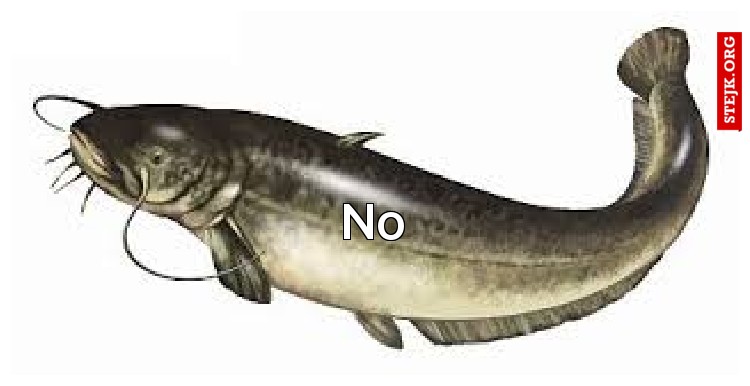 No
