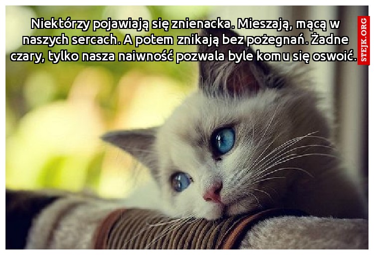 Niektórzy pojawiają się znienacka. Mieszają, mącą w naszych sercach. A potem znikają bez pożegnań. Żadne czary, tylko nasza naiwność pozwala byle komu się oswoić.  