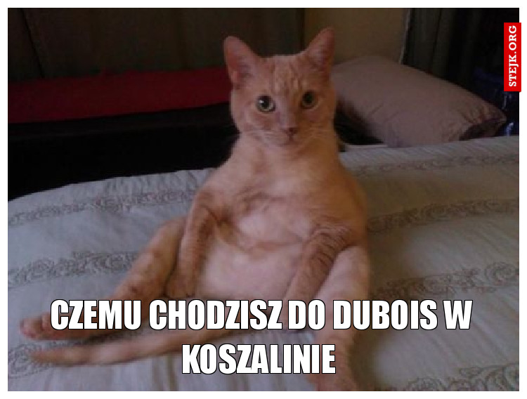 Czemu chodzisz do Dubois w Koszalinie 
