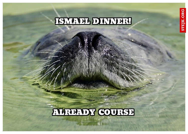 Ismael dinner!