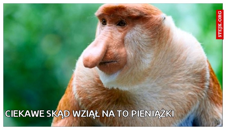 CIEKAWE SKĄD WZIĄŁ NA TO PIENIĄŻKI