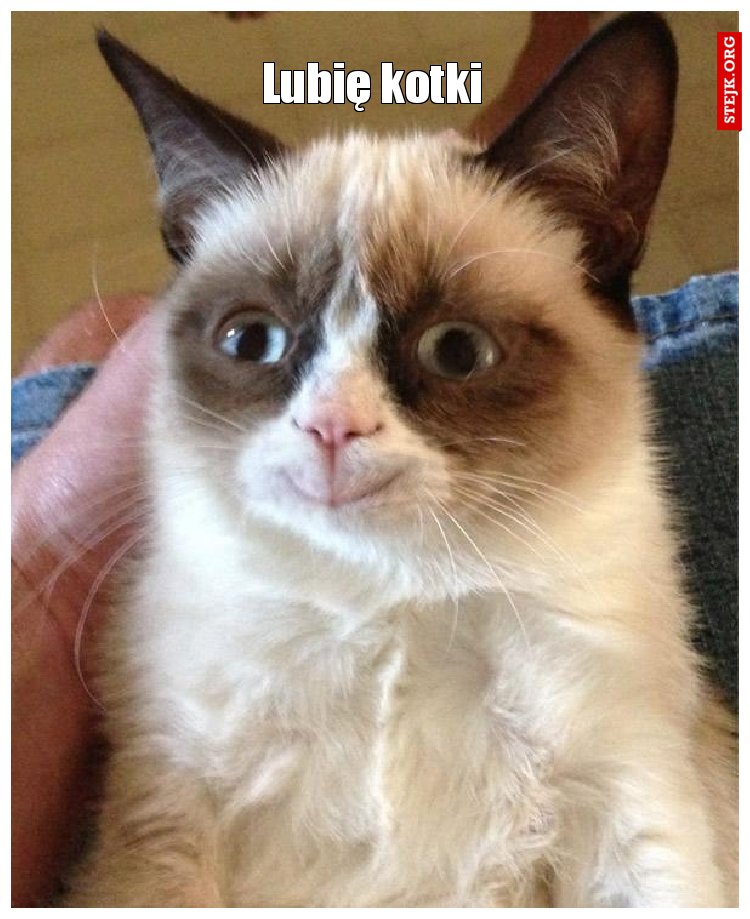 Lubię kotki