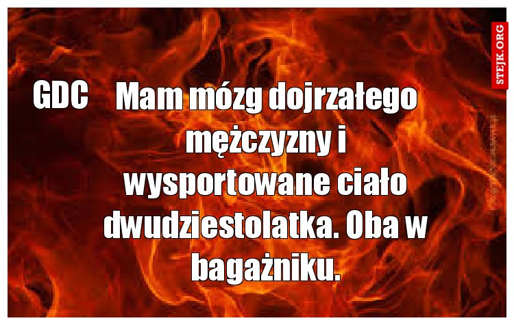 Mam mózg dojrzałego mężczyzny i wysportowane ciało dwudziestolatka. Oba w bagażniku.