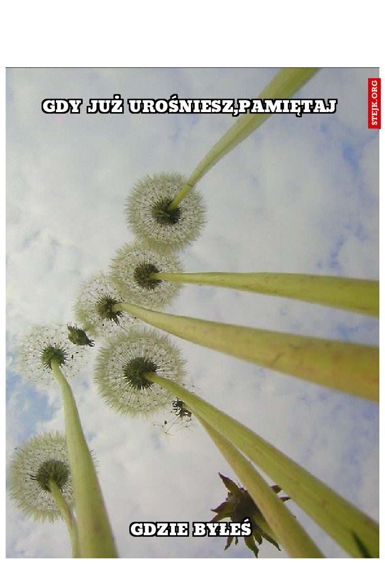 gdy już urośniesz,pamiętaj