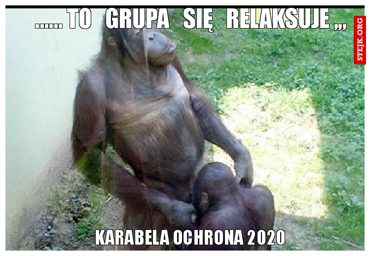    ...... TO   GRUPA   SIĘ   RELAKSUJE ,,,