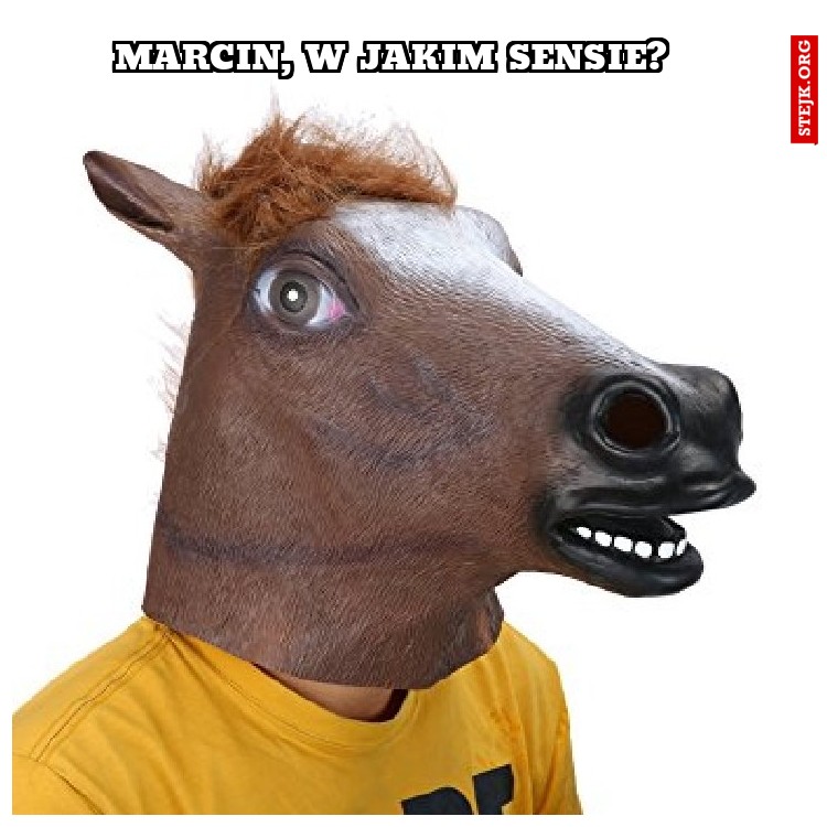 Marcin, w jakim sensie?
