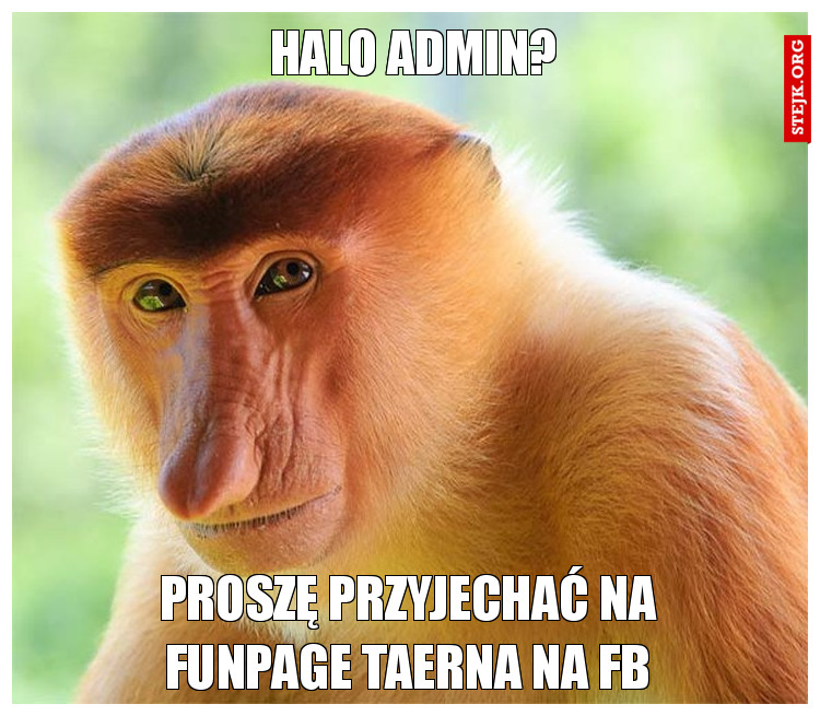 HALO ADMIN?
