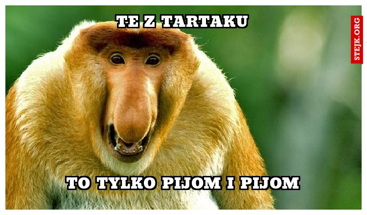Te z tartaku