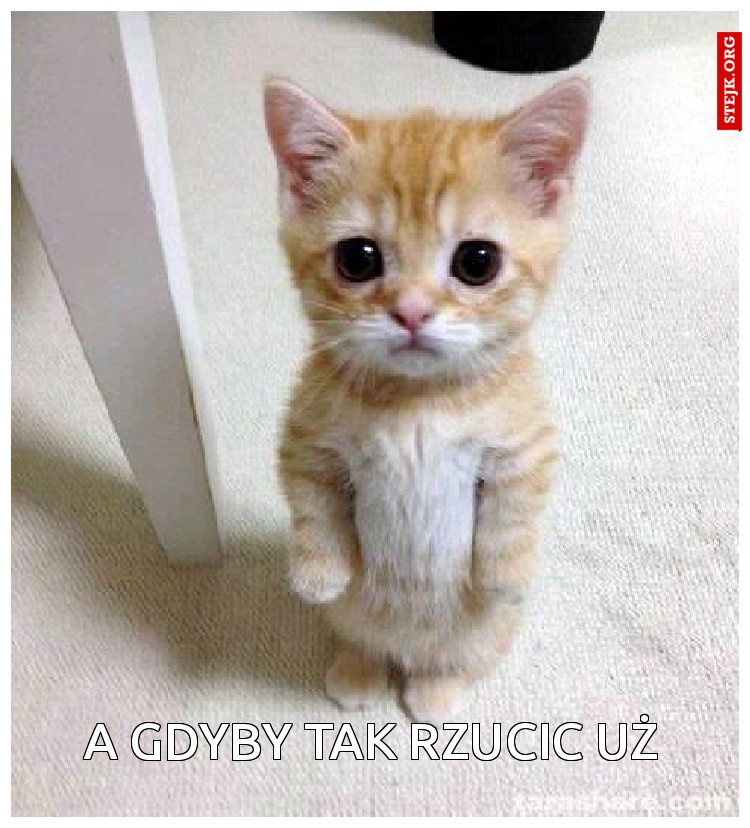 A gdyby tak rzucic uż