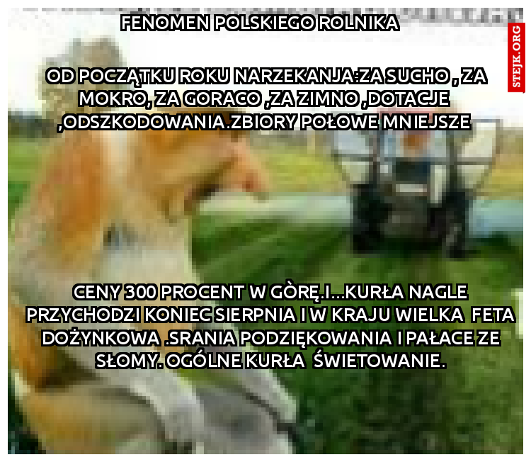 Fenomen polskiego rolnika