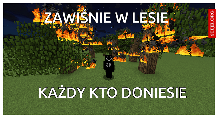 ZAWIŚNIE W LESIE 