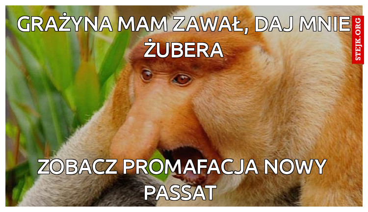 Grażyna mam zawał, daj mnie żubera