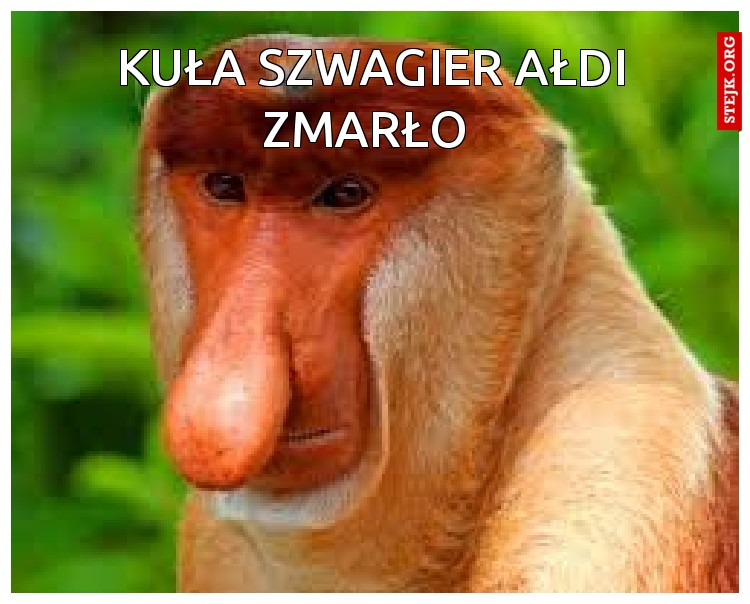 Kuła Szwagier Ałdi Zmarło 