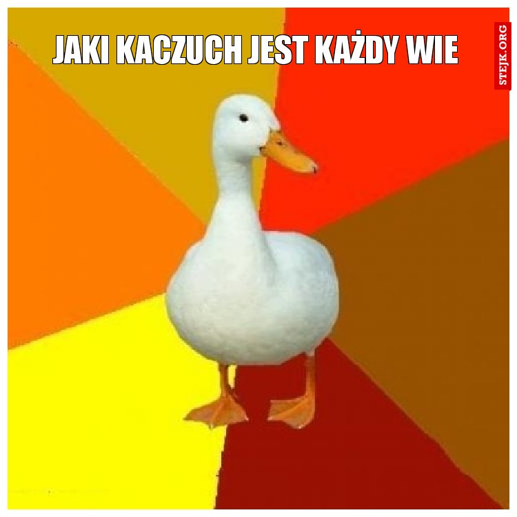 jAKI KACZUCH JEST KAŻDY WIE