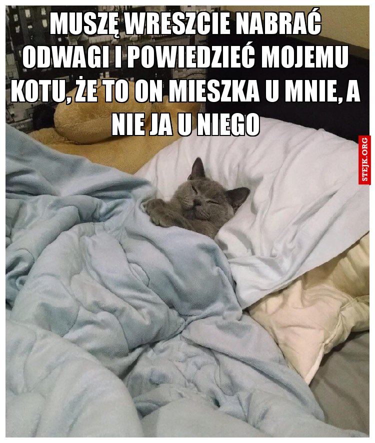 Muszę wreszcie nabrać odwagi