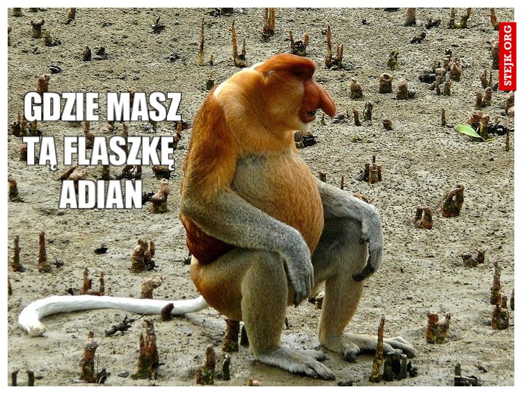 Gdzie masz tą flaszkę  Adian