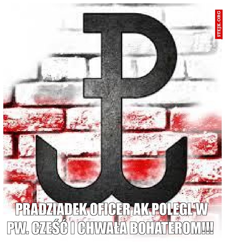 Pradziadek oficer AK polegl w PW. Cześć I Chwała Bohaterom!!! 