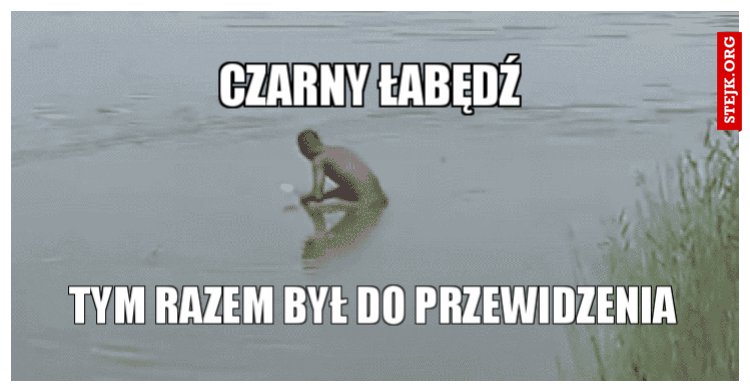 Czarny Łabędź 