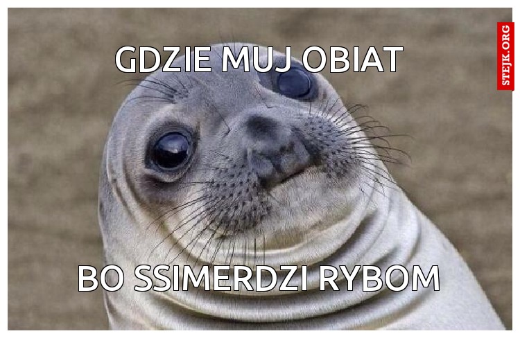 GDZIE MUJ OBIAT