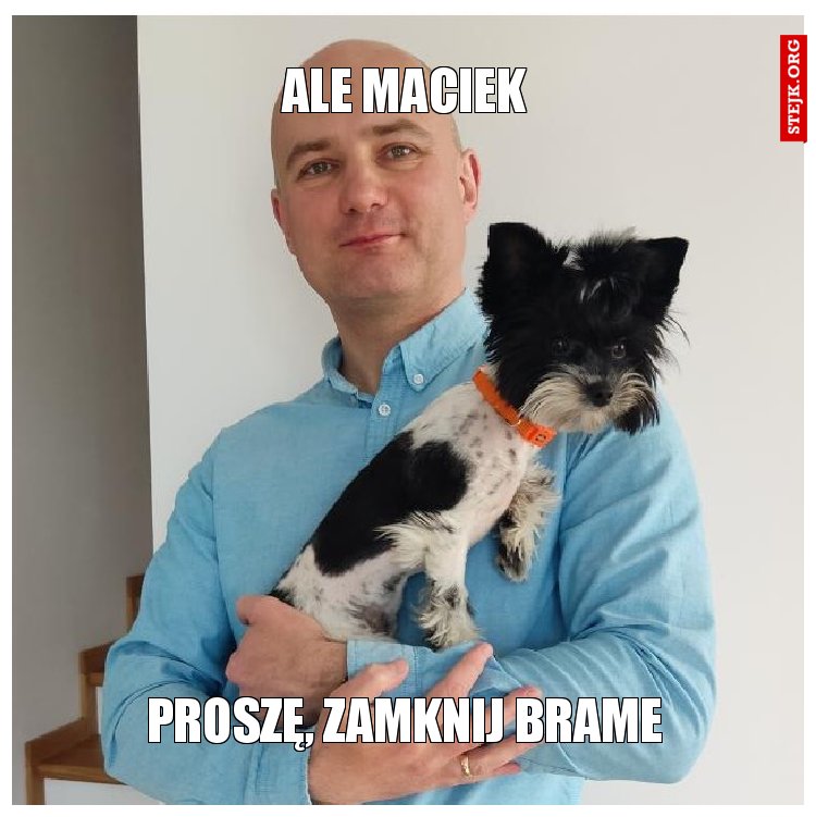 ALE MACIEK