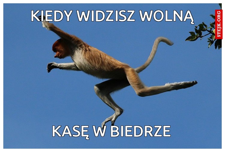 Kiedy widzisz wolną
