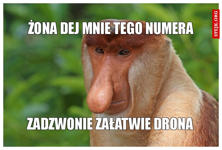 Żona dej mnie tego numera 