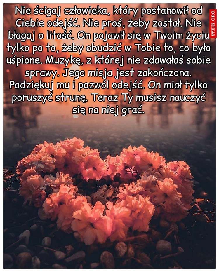 Nie ścigaj człowieka, który postanowił od Ciebie odejść. Nie proś, żeby został. Nie błagaj o litość. On pojawił się w Twoim życiu tylko po to, żeby obudzić w Tobie to, co było uśpione. Muzykę, z której nie zdawałaś sobie sprawy. Jego misja jest zakończona. Podziękuj mu i pozwól odejść. On miał tylko poruszyć strunę. Teraz Ty musisz nauczyć się na niej grać.