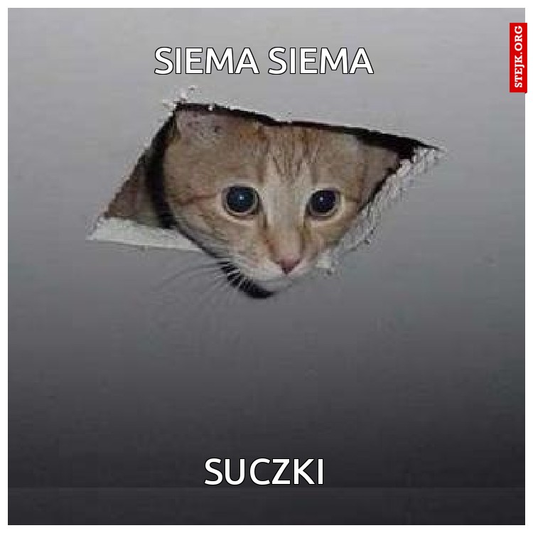 siema siema