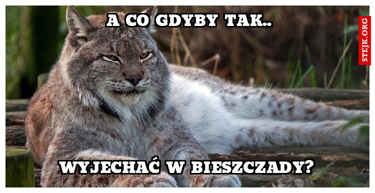A co gdyby tak..