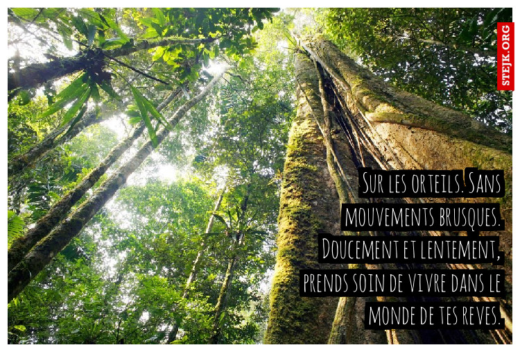 Sur les orteils. Sans mouvements brusques. Doucement et lentement, prends soin de vivre dans le monde de tes reves.
