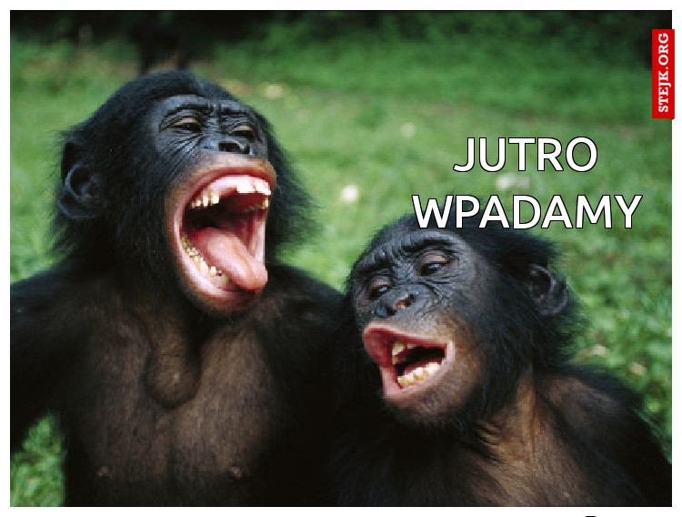 Jutro wpadamy