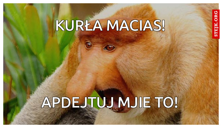 kurła macias!