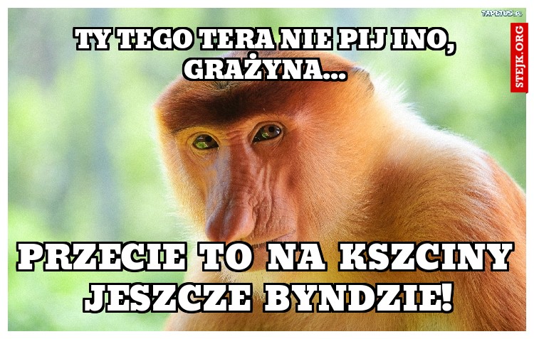 TY TEGO TERA NIE PIJ INO, GRAŻYNA...