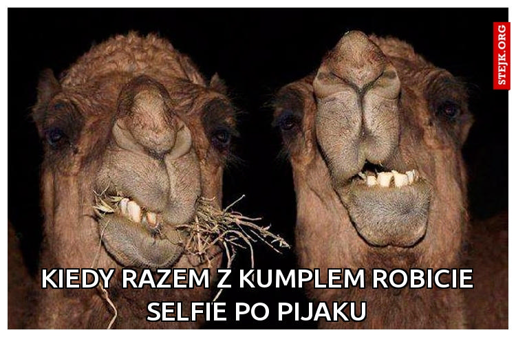 Kiedy razem z kumplem robicie selfie po pijaku