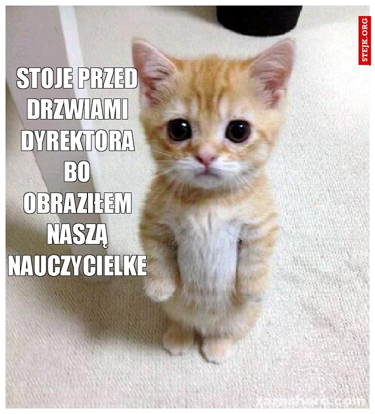 stoje przed drzwiami dyrektora bo obraziłem naszą nauczycielke